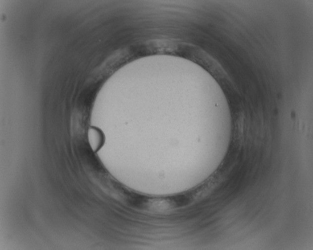 X0000081290218200702012252