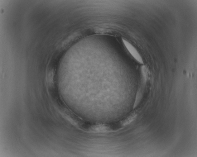 X0000081290219200702012252