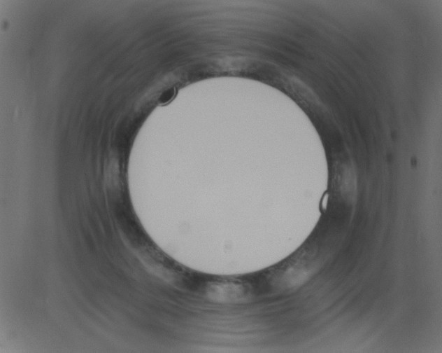 X0000081290220200702012252