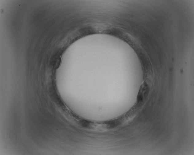 X0000081290221200702012252