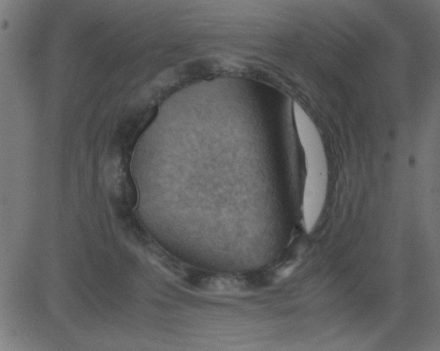 X0000081290223200702012252