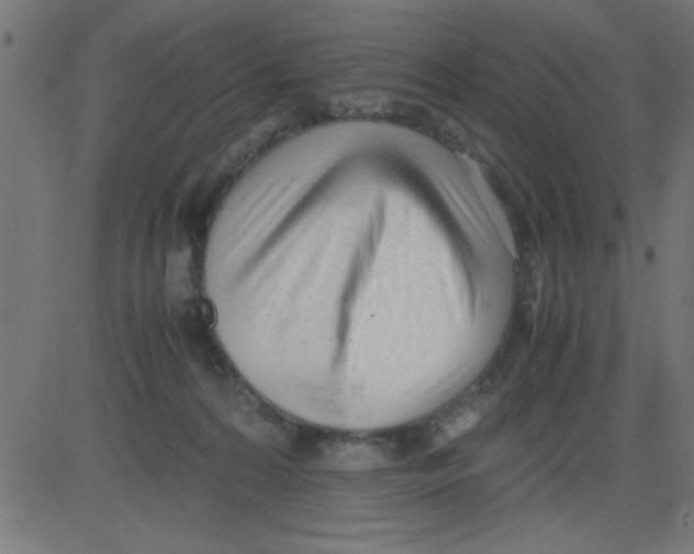 X0000081290224200702012252