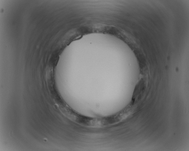 X0000081290225200702012252