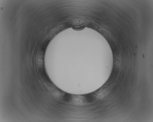 X0000081290226200702012252