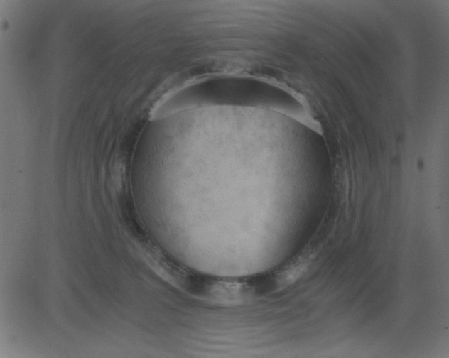 X0000081290227200702012252