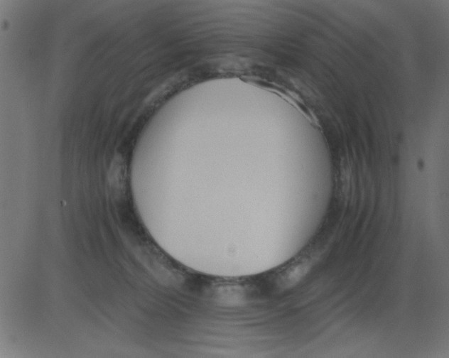 X0000081290228200702012252