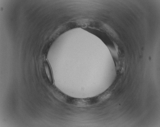 X0000081290229200702012252