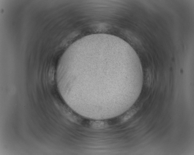 X0000081290230200702012252