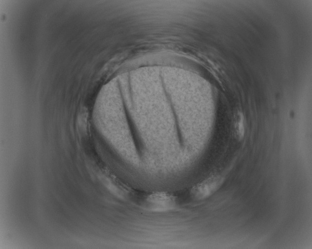 X0000081290231200702012252