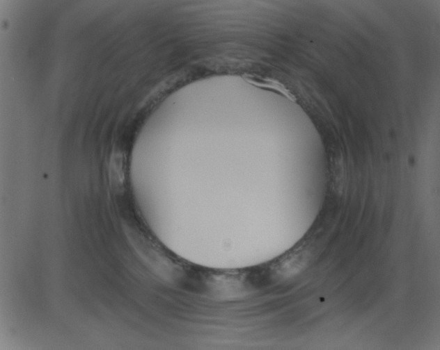 X0000081290232200702012252