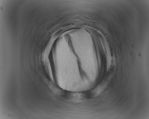 X0000081290233200702012252