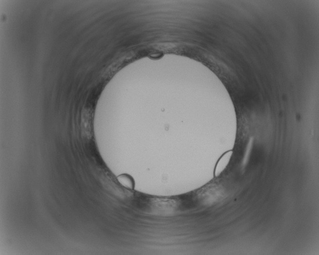 X0000081290234200702012252