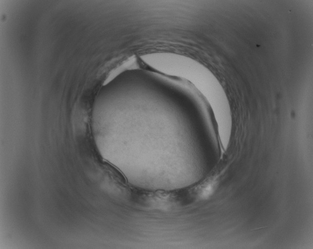 X0000081290235200702012252