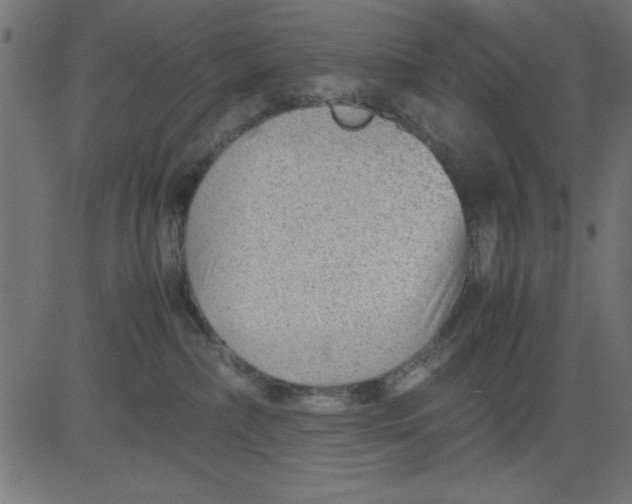 X0000081290236200702012252