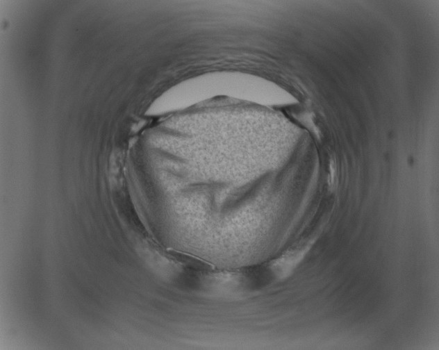 X0000081290237200702012252