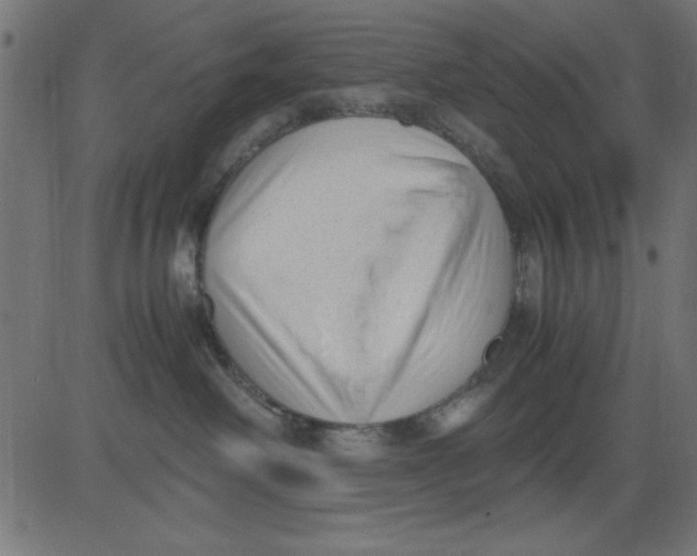 X0000081290238200702012252