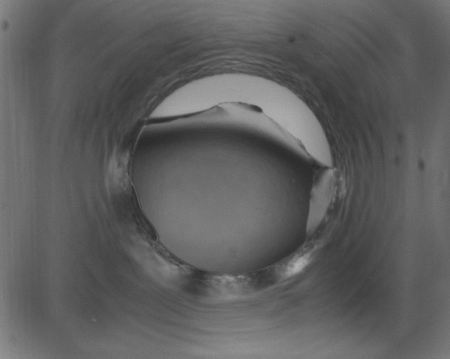 X0000081290239200702012252