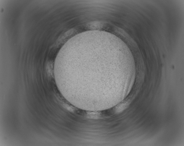 X0000081290240200702012252