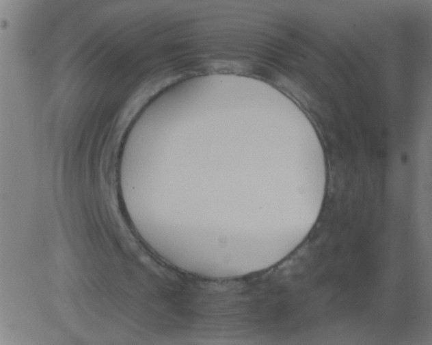 X0000081290241200702012251