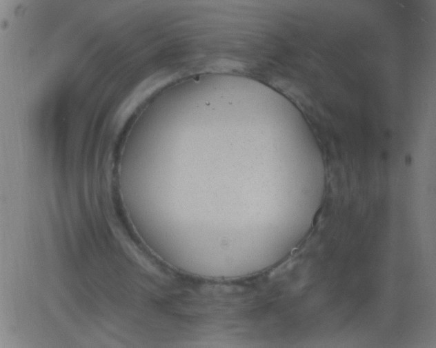 X0000081290242200702012251