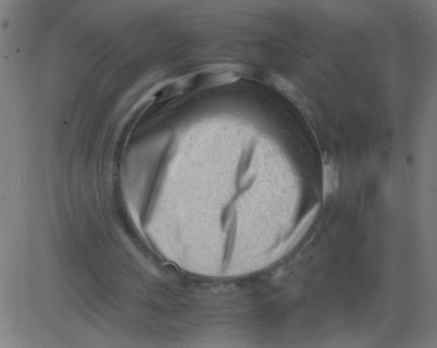 X0000081290243200702012251