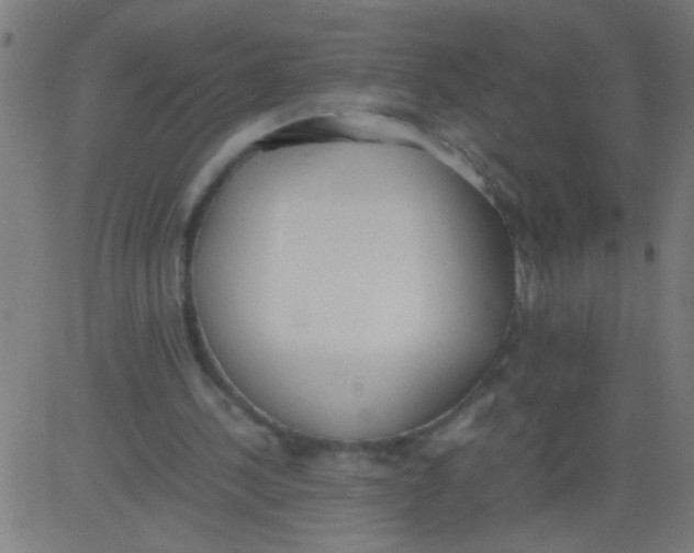 X0000081290244200702012251