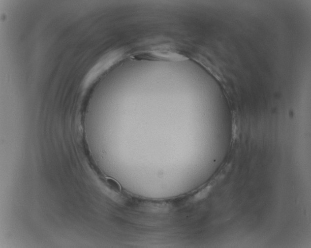 X0000081290245200702012251