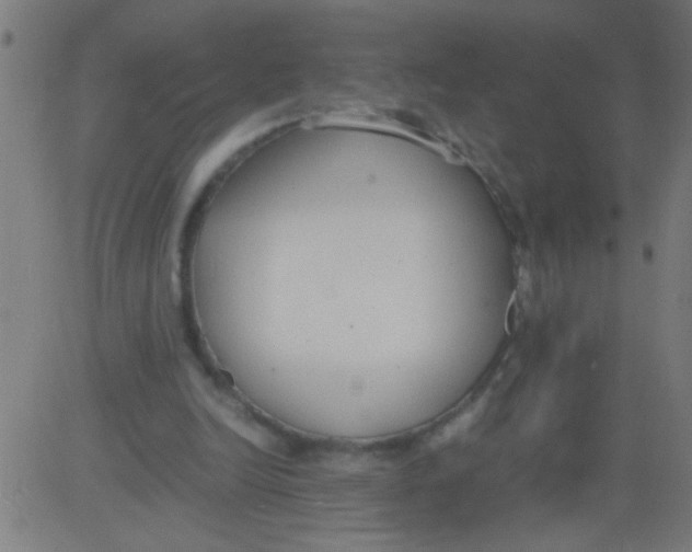 X0000081290246200702012251