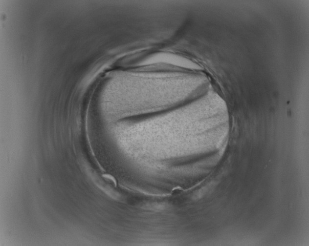 X0000081290247200702012251