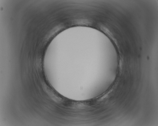 X0000081290249200702012251