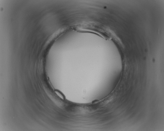 X0000081290250200702012251