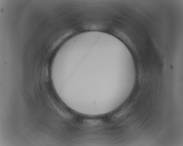 X0000081290251200702012251