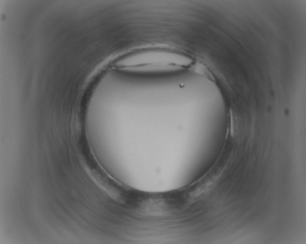 X0000081290252200702012251