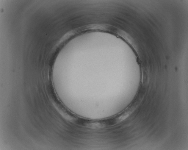 X0000081290253200702012251