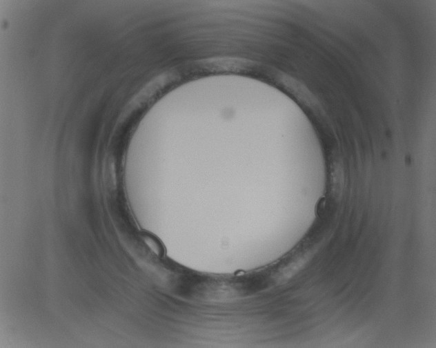 X0000081290254200702012251