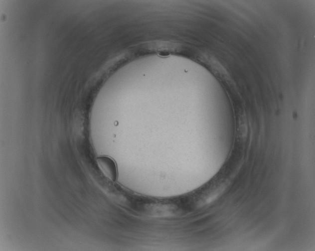 X0000081290255200702012251