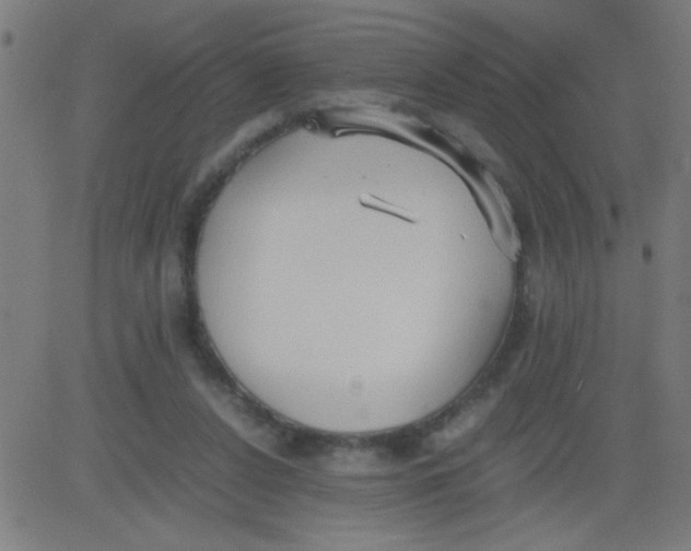 X0000081290256200702012251