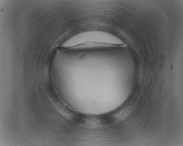 X0000081290258200702012251