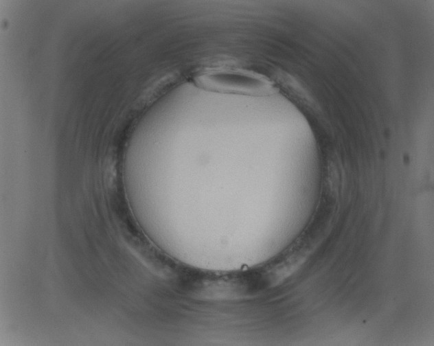 X0000081290259200702012251