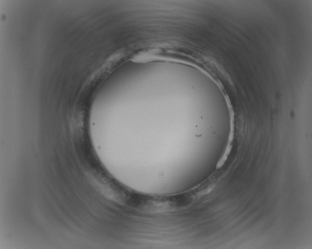 X0000081290260200702012251