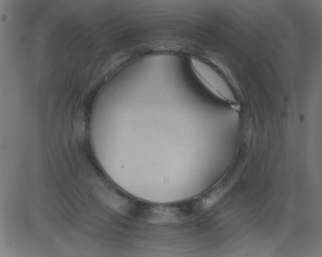 X0000081290261200702012251