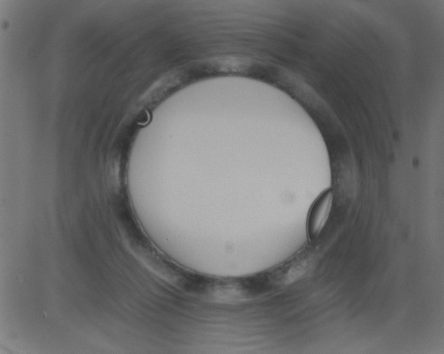 X0000081290262200702012251