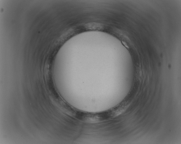 X0000081290263200702012251