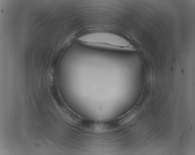 X0000081290264200702012251