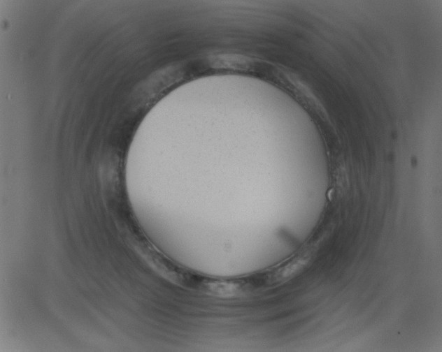 X0000081290265200702012251