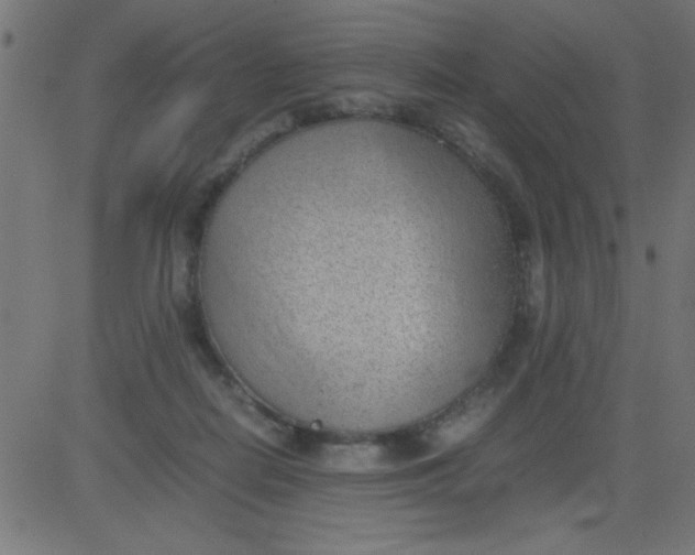 X0000081290266200702012251