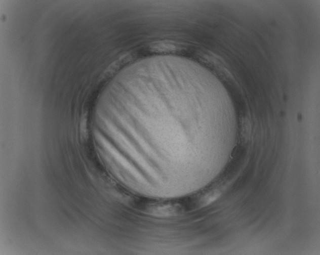 X0000081290267200702012251