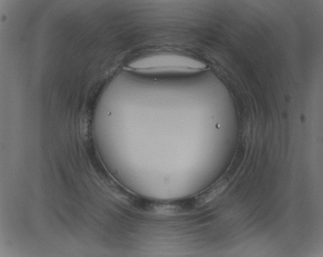 X0000081290268200702012251