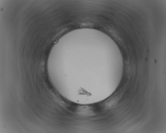 X0000081290269200702012252