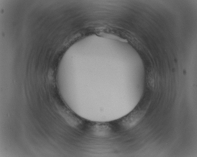 X0000081290270200702012252